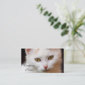 Weiße Katze Visitenkarte (Stehend Vorderseite)