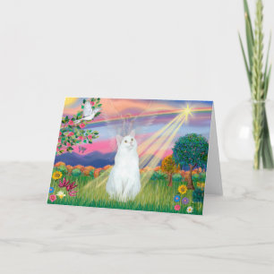 Weiße Katze - Wolkenengel Karte