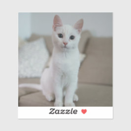 Weiße Katze | Zazzle_Growshop. Aufkleber