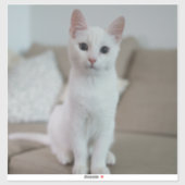 Weiße Katze | Zazzle_Growshop. Aufkleber (Blatt)