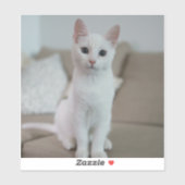 Weiße Katze | Zazzle_Growshop. Aufkleber (Blatt)