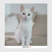 Weiße Katze | Zazzle_Growshop. Aufkleber (Blatt)