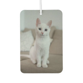 Weiße Katze | Zazzle_Growshop. Autolufterfrischer