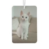 Weiße Katze | Zazzle_Growshop. Autolufterfrischer (Rückseite)