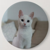 Weiße Katze | Zazzle_Growshop. Button (Vorderseite)
