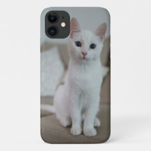 Weiße Katze   Zazzle_Growshop. Case-Mate iPhone Hülle