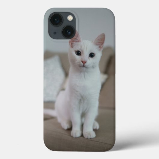 Weiße Katze | Zazzle_Growshop. Case-Mate iPhone Hülle (Rückseite)