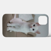 Weiße Katze | Zazzle_Growshop. Case-Mate iPhone Hülle (Rückseite (Horizontal))