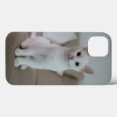 Weiße Katze | Zazzle_Growshop. Case-Mate iPhone Hülle (Rückseite (Horizontal))