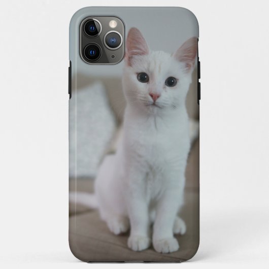Weiße Katze | Zazzle_Growshop. Case-Mate iPhone Hülle (Rückseite)