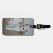 Weiße Katze | Zazzle_Growshop. Gepäckanhänger (Vorderseite horizontal)