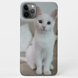 Weiße Katze | Zazzle_Growshop. iPhone 11Pro Max Hülle