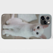 Weiße Katze | Zazzle_Growshop. iPhone Hülle (Rückseite (Horizontal))