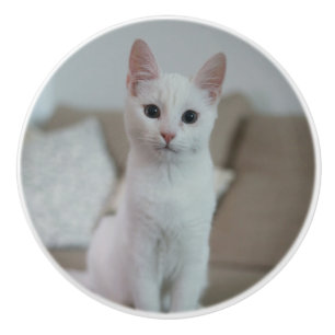 Weiße Katze Zazzle_Growshop. Keramikknauf