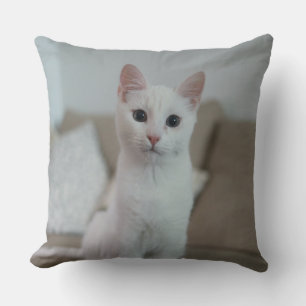 Weiße Katze Zazzle_Growshop. Kissen