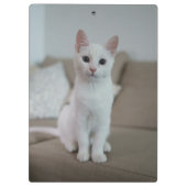 Weiße Katze | Zazzle_Growshop. Klemmbrett (Rückseite)