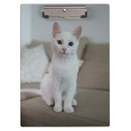 Weiße Katze | Zazzle_Growshop. Klemmbrett