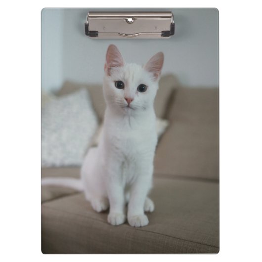 Weiße Katze | Zazzle_Growshop. Klemmbrett (Vorderseite)