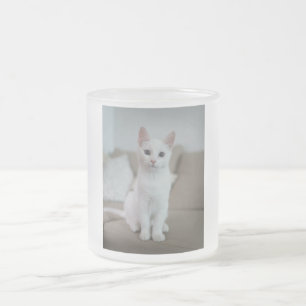 Weiße Katze   Zazzle_Growshop. Mattglastasse