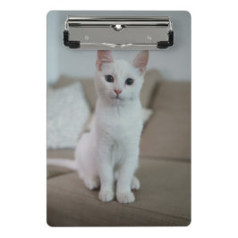 Weiße Katze | Zazzle_Growshop. Mini Klemmbrett