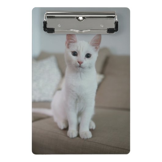 Weiße Katze | Zazzle_Growshop. Mini Klemmbrett (Vorderseite)