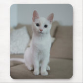 Weiße Katze | Zazzle_Growshop. Mousepad (Vorne)