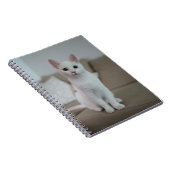 Weiße Katze | Zazzle_Growshop. Notizblock (Rechte Seite)