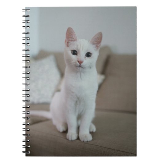 Weiße Katze | Zazzle_Growshop. Notizblock (Vorderseite)