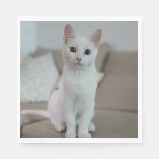 Weiße Katze | Zazzle_Growshop. Serviette (Vorderseite)