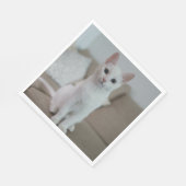 Weiße Katze | Zazzle_Growshop. Serviette (Ecke)