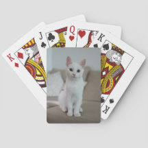 Weiße Katze | Zazzle_Growshop.