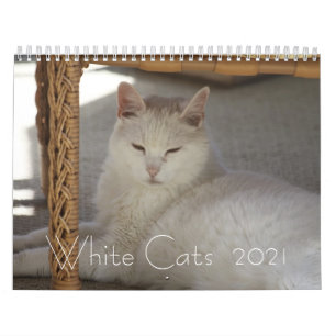 Weiße Katzen 2021 Kalender