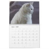 Weiße Katzen 2021 Kalender (Mär 2027)