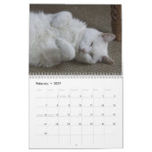 Weiße Katzen 2021 Kalender (Feb 2027)