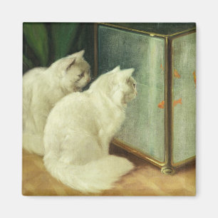 Weiße Katzen, die Goldfisch aufpassen Magnet