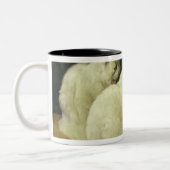 Weiße Katzen, die Goldfisch aufpassen Zweifarbige Tasse (Links)