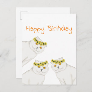 Weiße Katzen Happy Birthday Postkarte