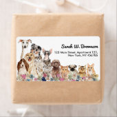 Weiße Katzen Hunde Tierarzt (Insitu)