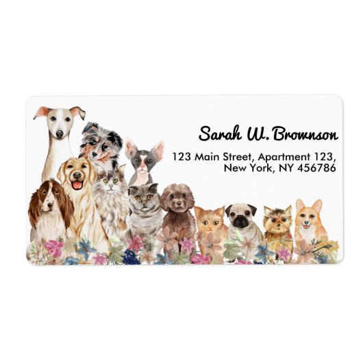 Weiße Katzen Hunde Tierarzt (Vorne)