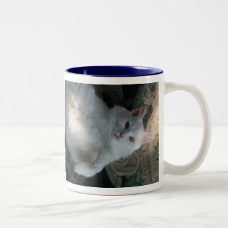 Weiße Katzen-Tasse, Kitty-Überraschung Zweifarbige Tasse
