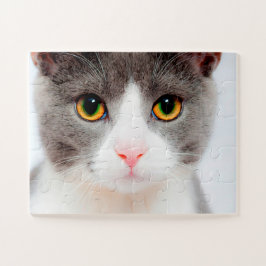 Weiße Katzengesicht, leichte Katze Puzzle
