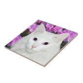 Weiße Katzengesichtsfliese Fliese (Seite)