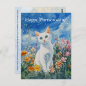 Weiße Katzenüberquerung - Postkarte (Vorne/Hinten)