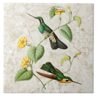 Weiße Kehlberge Edelstein Kolibri Keramikfliese