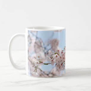 Weiße Kirschblüte unter blauem Himmel im m Kaffeetasse