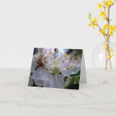 Weiße Kirschblüten-Anmerkungs-Karte Karte (Gelbe Blume)