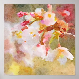 Weiße Kirschblüten Digitale Aquarellmalerei Poster