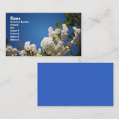 Weiße Kirschblüten gegen blauen Hintergrund Visitenkarte (Vorne/Hinten)