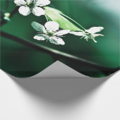 Weiße Kirschblüten Geschenkpapier (Ecke)