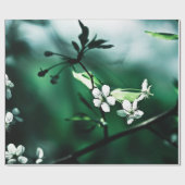 Weiße Kirschblüten Geschenkpapier (Flach)